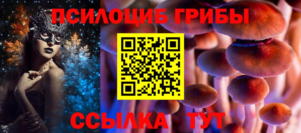 Минусинск  Псилоцибиновые грибы Cubensis  Вход с VPN 